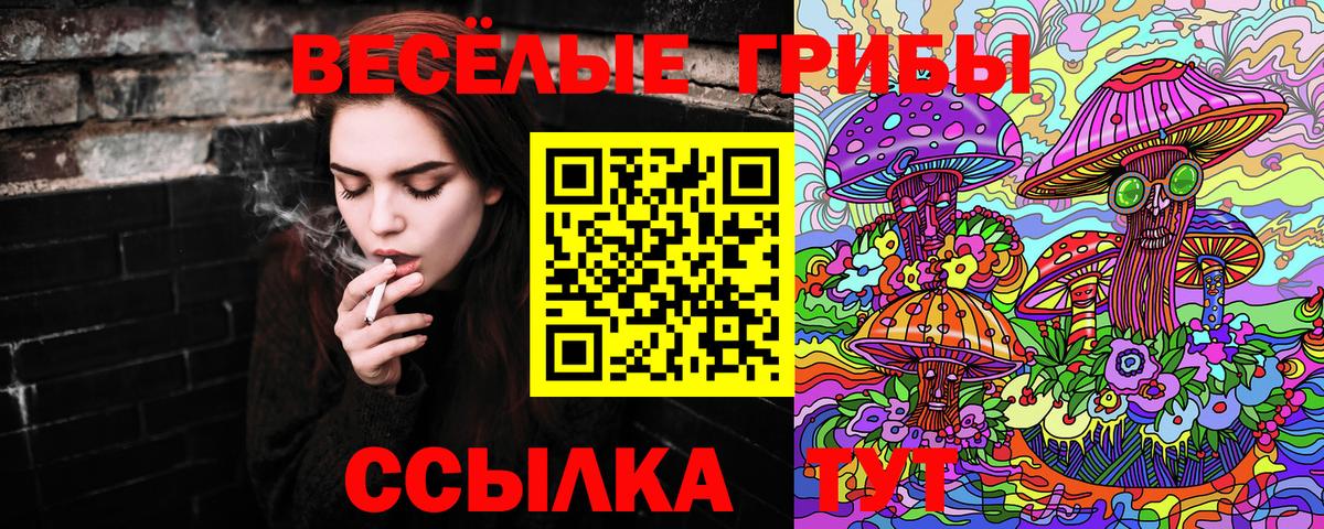 Псилоцибиновые грибы GOLDEN TEACHER  где найти   Усть-Джегута  Вход с VPN 